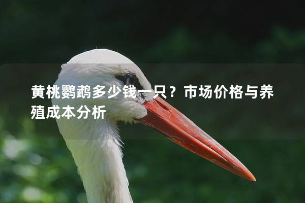 黄桃鹦鹉多少钱一只？市场价格与养殖成本分析
