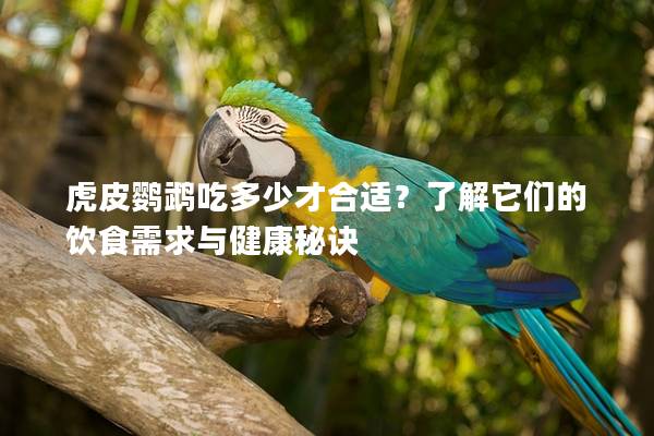 虎皮鹦鹉吃多少才合适？了解它们的饮食需求与健康秘诀