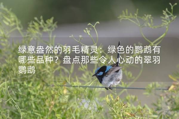 绿意盎然的羽毛精灵：绿色的鹦鹉有哪些品种？盘点那些令人心动的翠羽鹦鹉