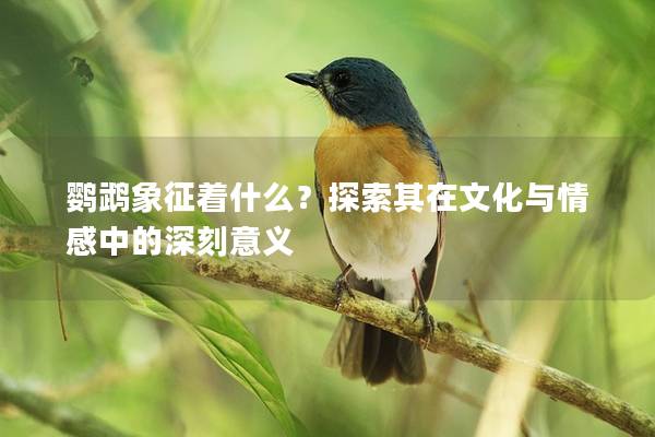 鹦鹉象征着什么？探索其在文化与情感中的深刻意义