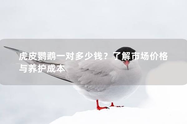 虎皮鹦鹉一对多少钱？了解市场价格与养护成本