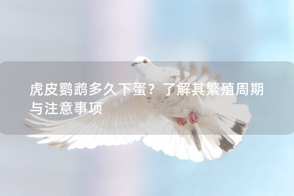 虎皮鹦鹉多久下蛋？了解其繁殖周期与注意事项