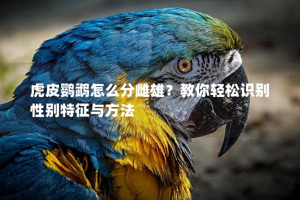 虎皮鹦鹉怎么分雌雄？教你轻松识别性别特征与方法