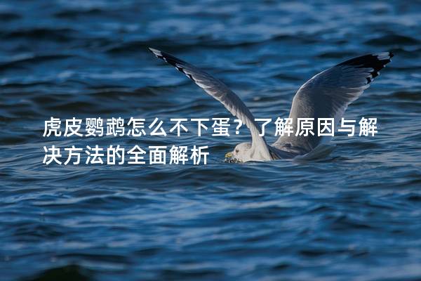 虎皮鹦鹉怎么不下蛋？了解原因与解决方法的全面解析