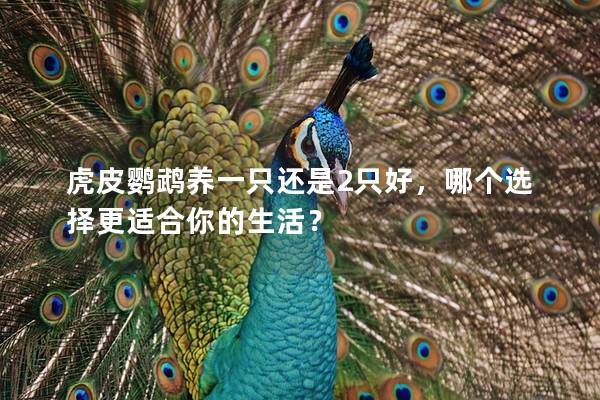 虎皮鹦鹉养一只还是2只好，哪个选择更适合你的生活？