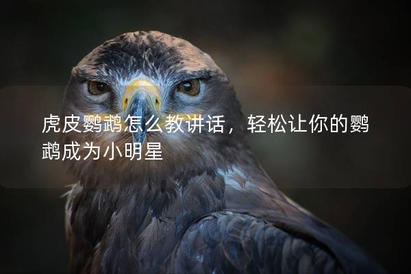 虎皮鹦鹉怎么教讲话，轻松让你的鹦鹉成为小明星