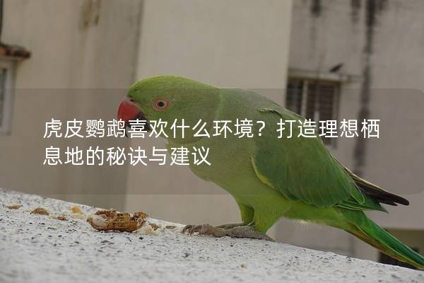 虎皮鹦鹉喜欢什么环境？打造理想栖息地的秘诀与建议