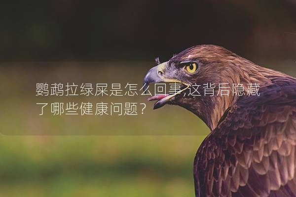 鹦鹉拉绿屎是怎么回事,这背后隐藏了哪些健康问题？