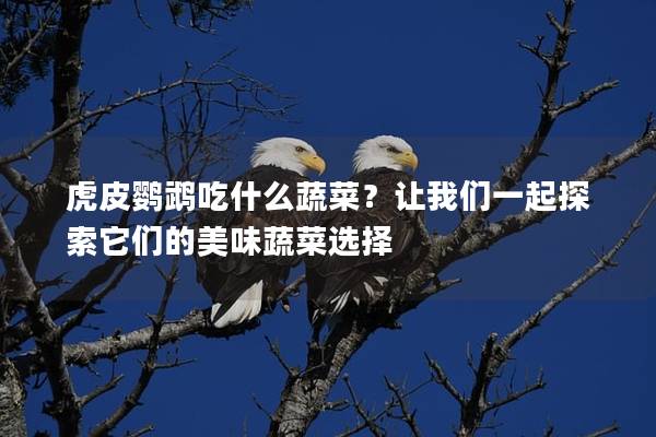 虎皮鹦鹉吃什么蔬菜？让我们一起探索它们的美味蔬菜选择