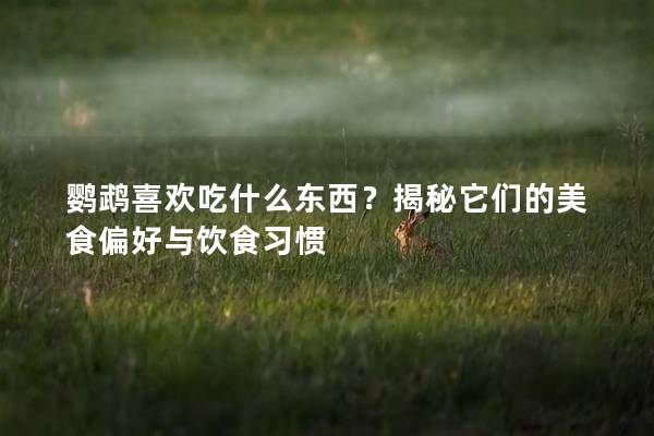 鹦鹉喜欢吃什么东西？揭秘它们的美食偏好与饮食习惯