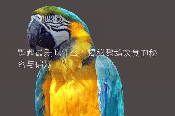 鹦鹉最爱吃什么？揭秘鹦鹉饮食的秘密与偏好