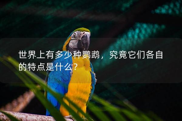 世界上有多少种鹦鹉，究竟它们各自的特点是什么？