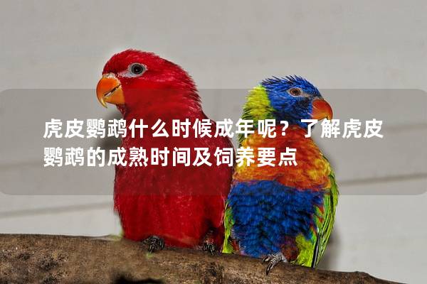 虎皮鹦鹉什么时候成年呢？了解虎皮鹦鹉的成熟时间及饲养要点