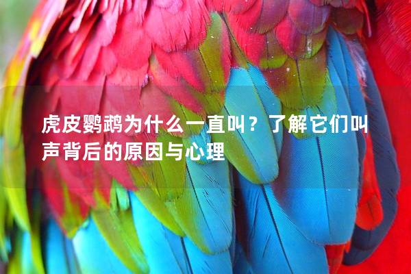 虎皮鹦鹉为什么一直叫？了解它们叫声背后的原因与心理