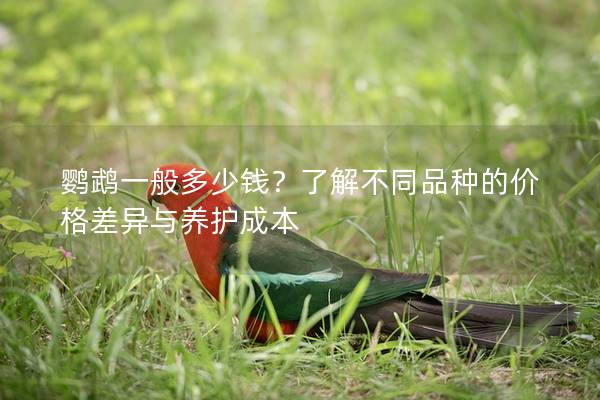 鹦鹉一般多少钱？了解不同品种的价格差异与养护成本