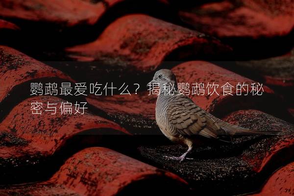 鹦鹉最爱吃什么？揭秘鹦鹉饮食的秘密与偏好