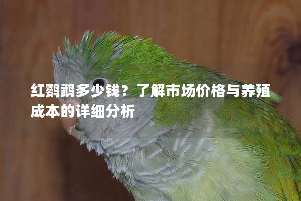 红鹦鹉多少钱？了解市场价格与养殖成本的详细分析