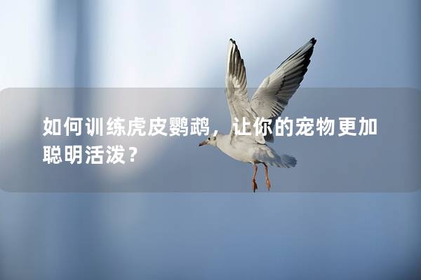 如何训练虎皮鹦鹉，让你的宠物更加聪明活泼？