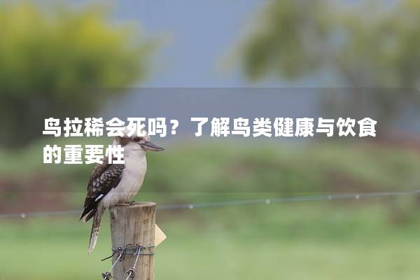 鸟拉稀会死吗？了解鸟类健康与饮食的重要性