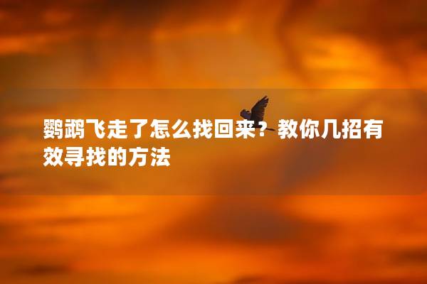 鹦鹉飞走了怎么找回来？教你几招有效寻找的方法