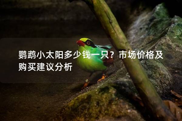 鹦鹉小太阳多少钱一只？市场价格及购买建议分析