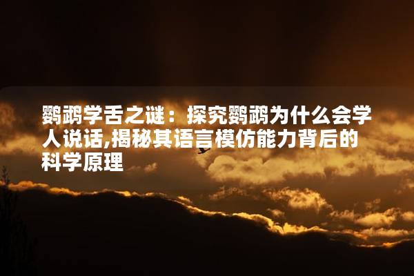 鹦鹉学舌之谜：探究鹦鹉为什么会学人说话,揭秘其语言模仿能力背后的科学原理