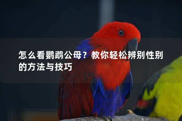 怎么看鹦鹉公母？教你轻松辨别性别的方法与技巧