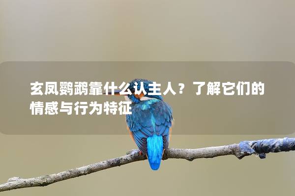 玄凤鹦鹉靠什么认主人？了解它们的情感与行为特征