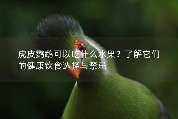虎皮鹦鹉可以吃什么水果？了解它们的健康饮食选择与禁忌