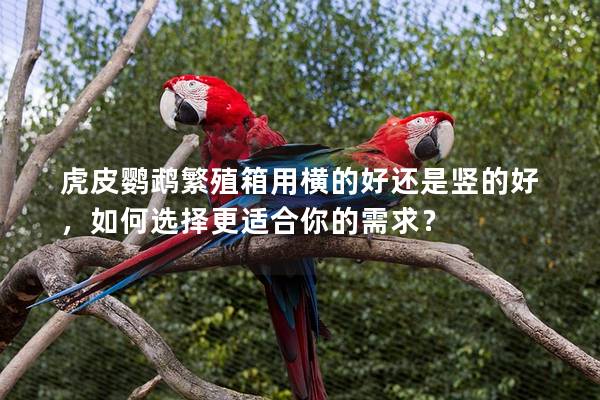 虎皮鹦鹉繁殖箱用横的好还是竖的好，如何选择更适合你的需求？