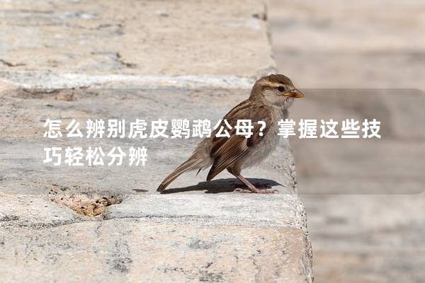 怎么辨别虎皮鹦鹉公母？掌握这些技巧轻松分辨