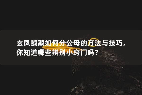 玄凤鹦鹉如何分公母的方法与技巧, 你知道哪些辨别小窍门吗？