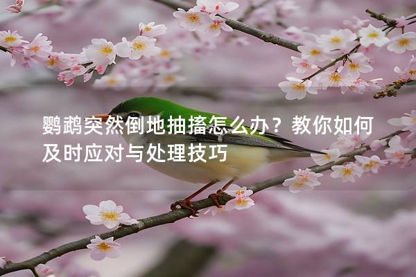 鹦鹉突然倒地抽搐怎么办？教你如何及时应对与处理技巧
