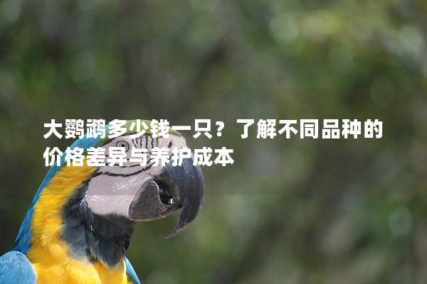 大鹦鹉多少钱一只？了解不同品种的价格差异与养护成本