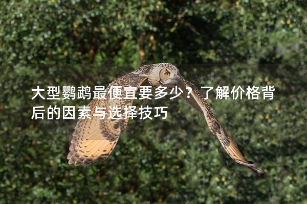 大型鹦鹉最便宜要多少？了解价格背后的因素与选择技巧