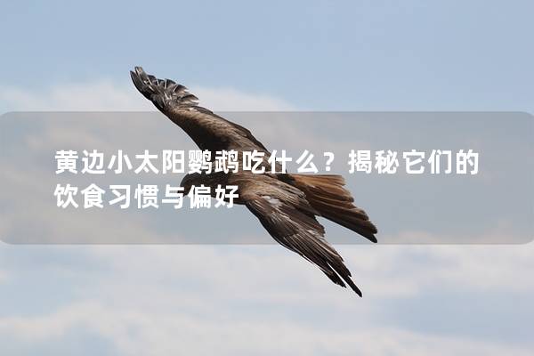 黄边小太阳鹦鹉吃什么？揭秘它们的饮食习惯与偏好