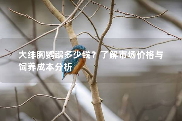 大绯胸鹦鹉多少钱？了解市场价格与饲养成本分析
