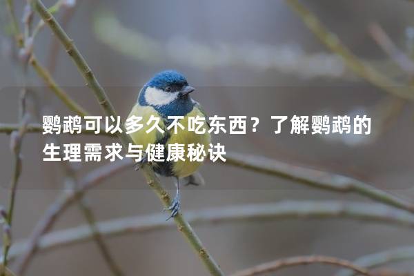 鹦鹉可以多久不吃东西？了解鹦鹉的生理需求与健康秘诀