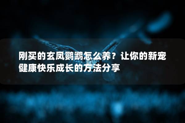 刚买的玄凤鹦鹉怎么养？让你的新宠健康快乐成长的方法分享