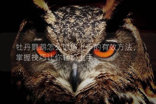 牡丹鹦鹉怎么训练上手的有效方法，掌握技巧让你轻松上手