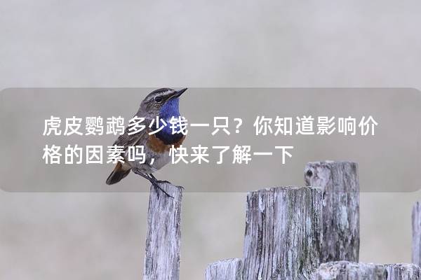 虎皮鹦鹉多少钱一只？你知道影响价格的因素吗，快来了解一下