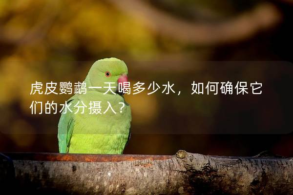 虎皮鹦鹉一天喝多少水，如何确保它们的水分摄入？