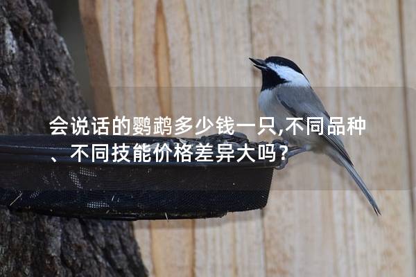 会说话的鹦鹉多少钱一只,不同品种、不同技能价格差异大吗？