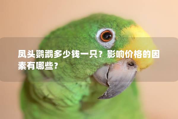 凤头鹦鹉多少钱一只？影响价格的因素有哪些？