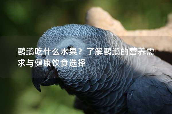 鹦鹉吃什么水果？了解鹦鹉的营养需求与健康饮食选择