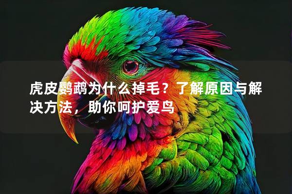 虎皮鹦鹉为什么掉毛？了解原因与解决方法，助你呵护爱鸟