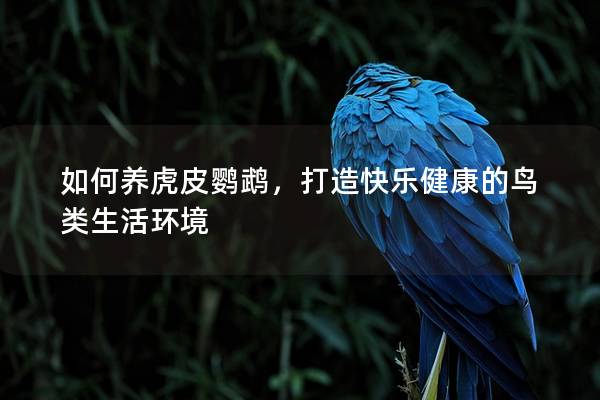 如何养虎皮鹦鹉，打造快乐健康的鸟类生活环境