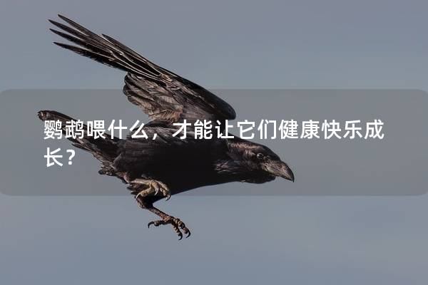 鹦鹉喂什么，才能让它们健康快乐成长？
