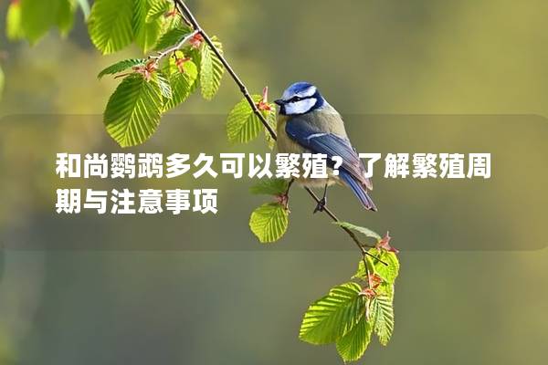 和尚鹦鹉多久可以繁殖？了解繁殖周期与注意事项