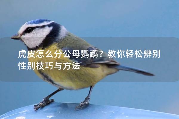 虎皮怎么分公母鹦鹉？教你轻松辨别性别技巧与方法